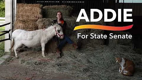 Addie Miller for Minnesota Senate District 47