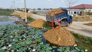 Ep3_Technique Skills Filling Huge Land Water By Using Land​ Stiff With D31P Komatsu Dozer Dump Truck