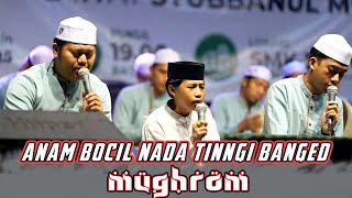 Download Lagu BIKIN BULU KUDUK MERINDING NADA TINGI ANAM BOCIL - MUGHROM - SYUBBANUL MUSLIMIN - JEMBER MP3 Download Lagu BIKIN BULU KUDUK MERINDING NADA TINGI ANAM BOCIL - MUGHROM - SYUBBANUL MUSLIMIN - JEMBER MP3