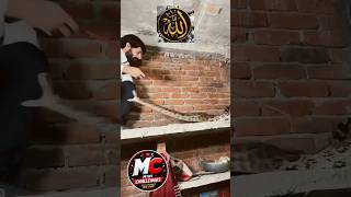Rescue pythan snake 🐍 # #snake # #animals #shortvideo #mini #shorts #trending #ytshorts #respect