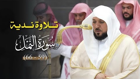 تلاوة تدبُرية مُبهرة من الشيخ د. ماهر المعيقلي لما تيسّر من سـورة النمل | مغرب الخميس ٢٢-١-١٤٤٧هـ