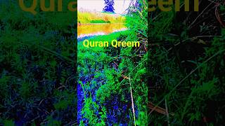 Surah Yusuf Urdu Translation #sorts