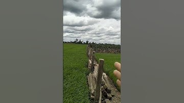 bán đất huyện gò Công Tây tỉnh tiền Giang dt6000m² chỉ có 300 triệu/1000mv0386725208