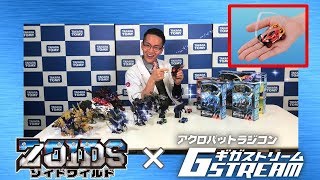 【ゾイドワイルド×ギガストリーム】アクロバットラジコンとゾイドで遊ぼう！