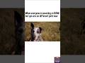 Far cry