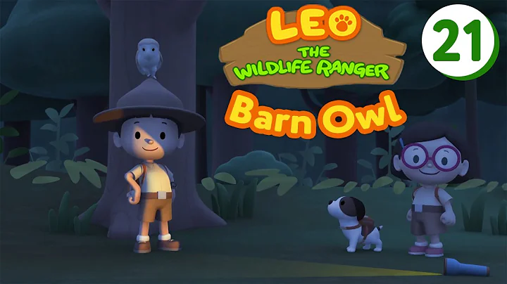 Barn Owl - Leo The Wildlife Ranger (Episode 21)