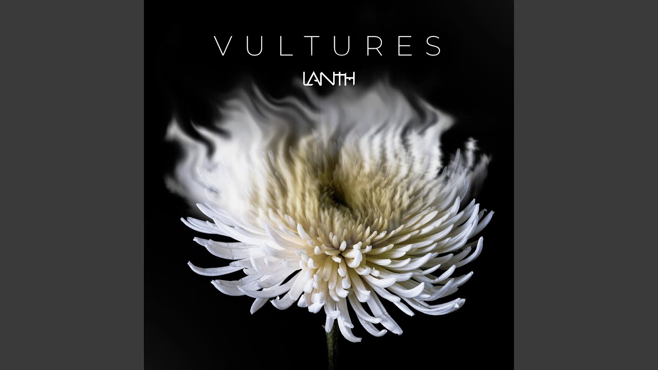 Watch Vultures on YouTube Watch Vultures on YouTube