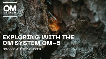 Exploring with the OM SYSTEM OM-5 | Episode 4: Look Closer