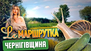 Ле Маршрутка. Чернігівщина