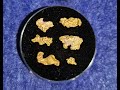 Found 6 Gold Nuggets - GPZ7000 Far North Queensland
