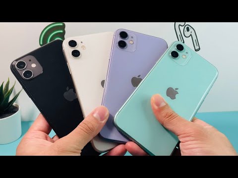 iPhone 11 Black vs White vs Purple vs Green Color Comparison 