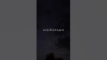 وما توفيقي إِلَّا بالله ❤️‍🩹|#القرآن_الكريم #تلاوة_خاشعة #راحة_نفسية #اجر_لي_ولك #تلاوة_هادئة #