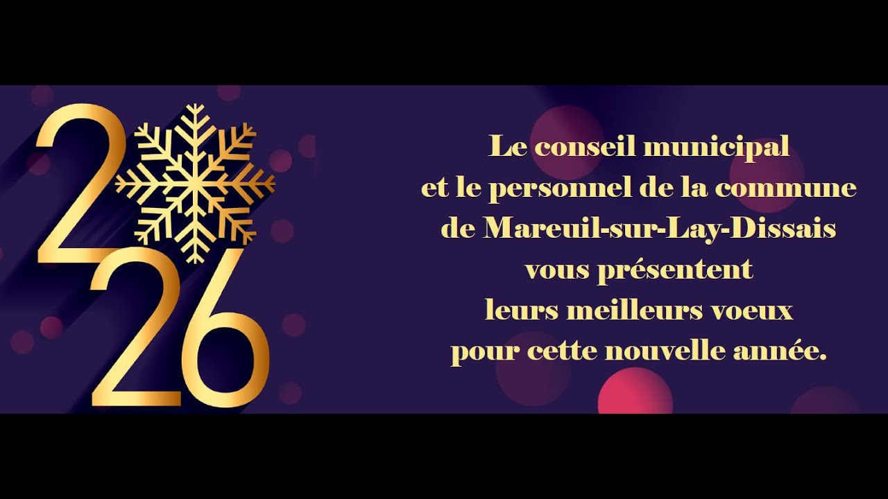 Voeux du maire 2026 compressé