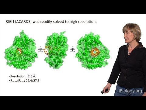 Video: Wat is de functie van RNA-helicase?