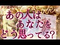 アゲ鑑定なし【あの人は今、あなたをどう思ってる?】恋愛オラクルリーディング