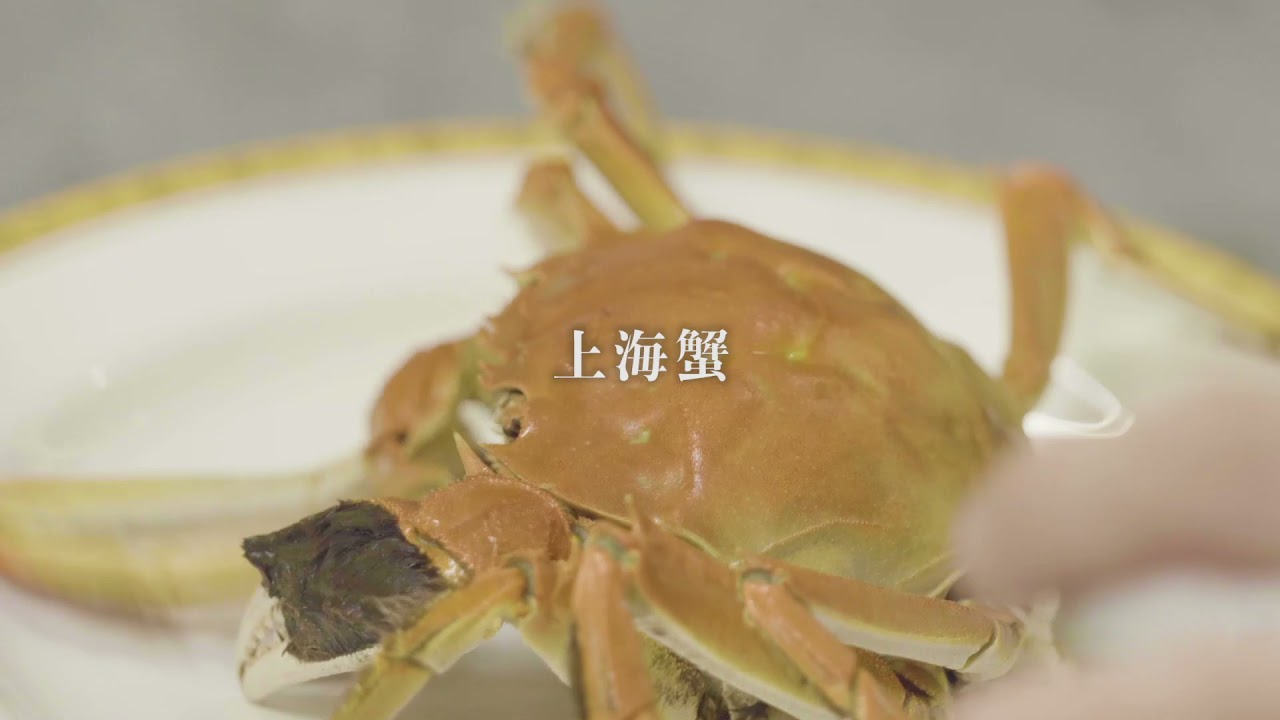 上海蟹 Youtube 上海蟹 Youtube