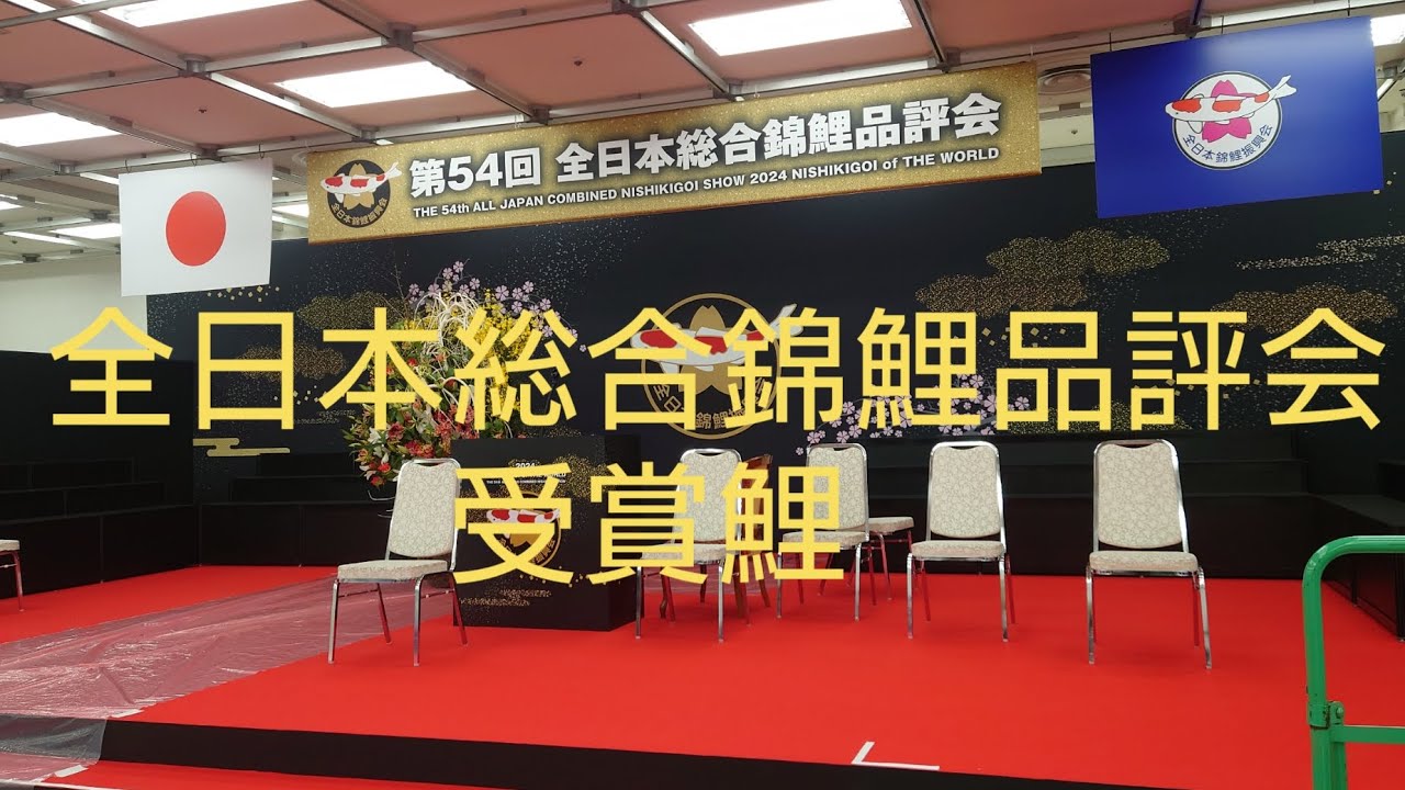 第54回全日本総合錦鯉品評会 2024 大賞受賞鯉