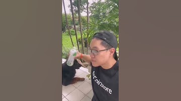 #Cryptobros wen they turn $20 to $21 #Coinstore #Investment #Trading #Blockchain #Cryptocurrency