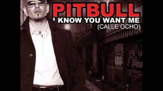 Pitbull - I Know You Want Me (Cale Ocho)