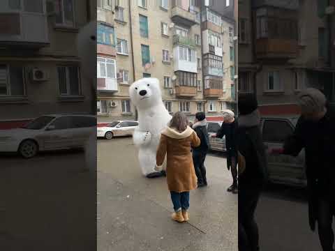 Белый Мишка #кмв