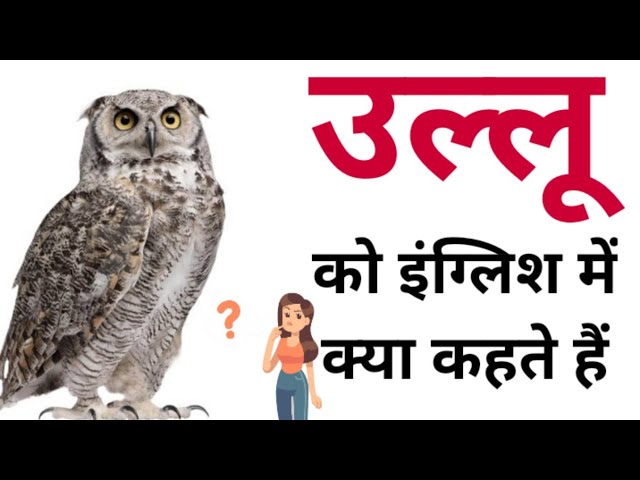 उल्लू को इंग्लिश में क्या कहते हैं | Ullu ko English mein kya kahate hain | Ullu in English class=