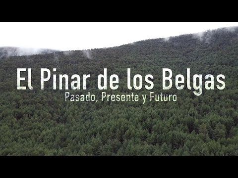 El Pinar de los belgas: Pasado, Presente y Futuro