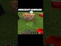 I Used an ILLEGAL Command in Minecraft...💀This command should NOT exist in Minecraft#Minecraft