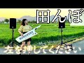 田んぼでミリオンゴッド弾いたらめっちゃ壮大になった 。