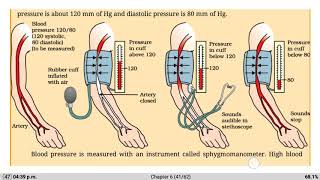 Topics covered :- 6.4 transportation 1.(6.4.1) in human beings 2. our
pump — the heart 3. oxygen enters blood lungs 4. pressu...