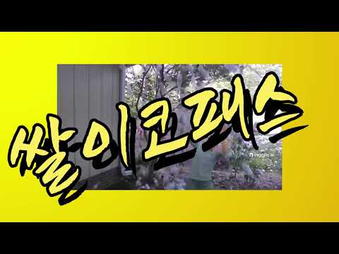 쌀이코패스