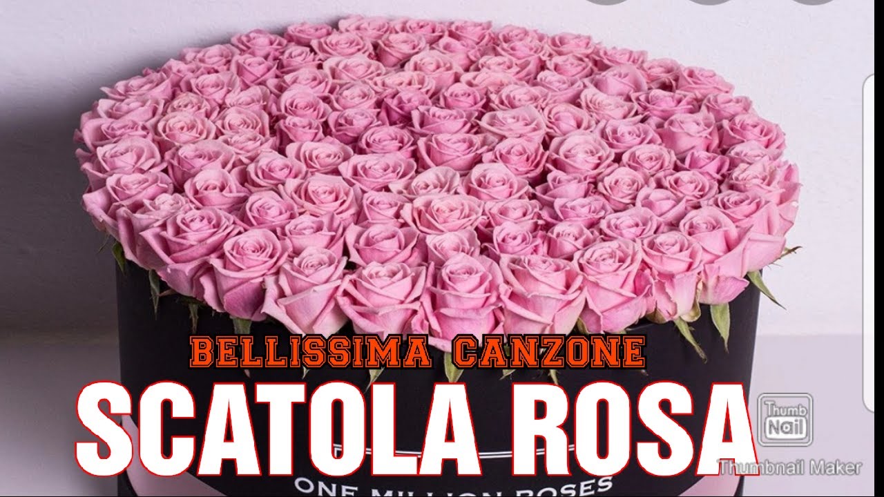 Scatola rosa