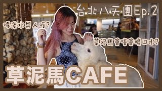 台北8天團EP.2 |台灣草泥馬cafe 喺淡水畀人呃?|OIA伊亞藝術 ...
