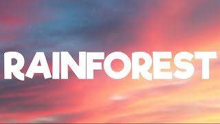 noname- rainforest ( lyrics)