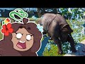 Rhinos and Glass Fences DON'T Mix!! 🐼 Zoodesia Zoo • #84