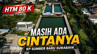 Setingan siang hari mancing patin - Kp Sumber Baru Surabaya #221 