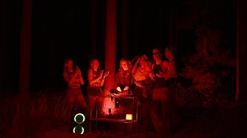 your unemployed friends on a monday night — HYPNOTIC GROOVY TECHNO Set in the Forest || DJ LAURTTSIK