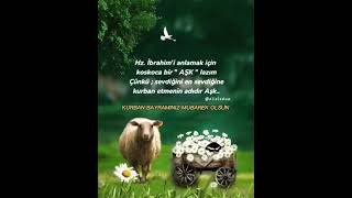 Kurban Bayrz Mübarek Olsun