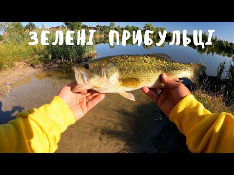 Риба БАС є у нас! Де як і на що ловиться бас? Риболовля на БАСА в Київській області. Bassfishing