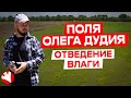 Поля Олега Дудия | Отведение влаги