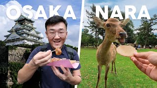 ATTACKED by Deer | Osaka & Nara by JHMedium 802 views 7 months ago 11 minutes, 54 seconds