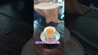 2017년 노백차(老白茶) 달고 깔끔한 맛 #노백차 #보이차 #진향당 #오후의차