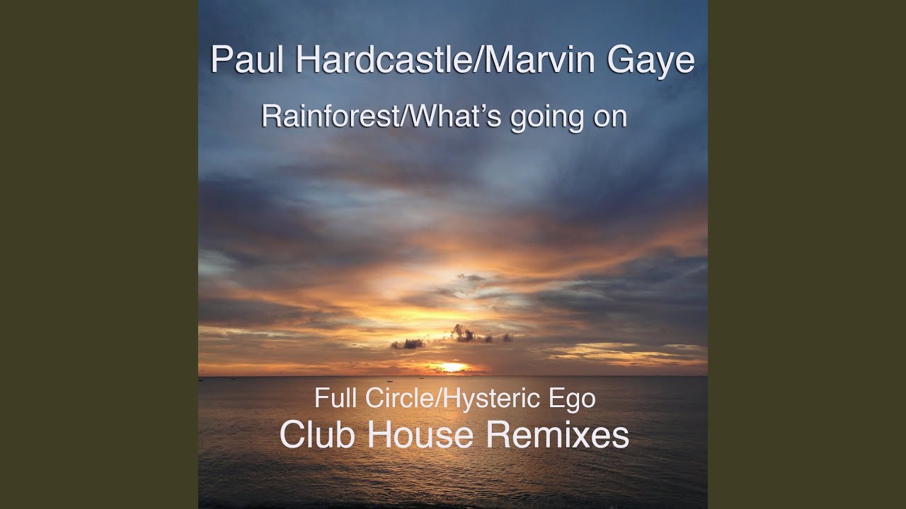 Rainforest/What's Going On (Hysteric Ego Mix) Rainforest/What's Going On (Hysteric Ego Mix)