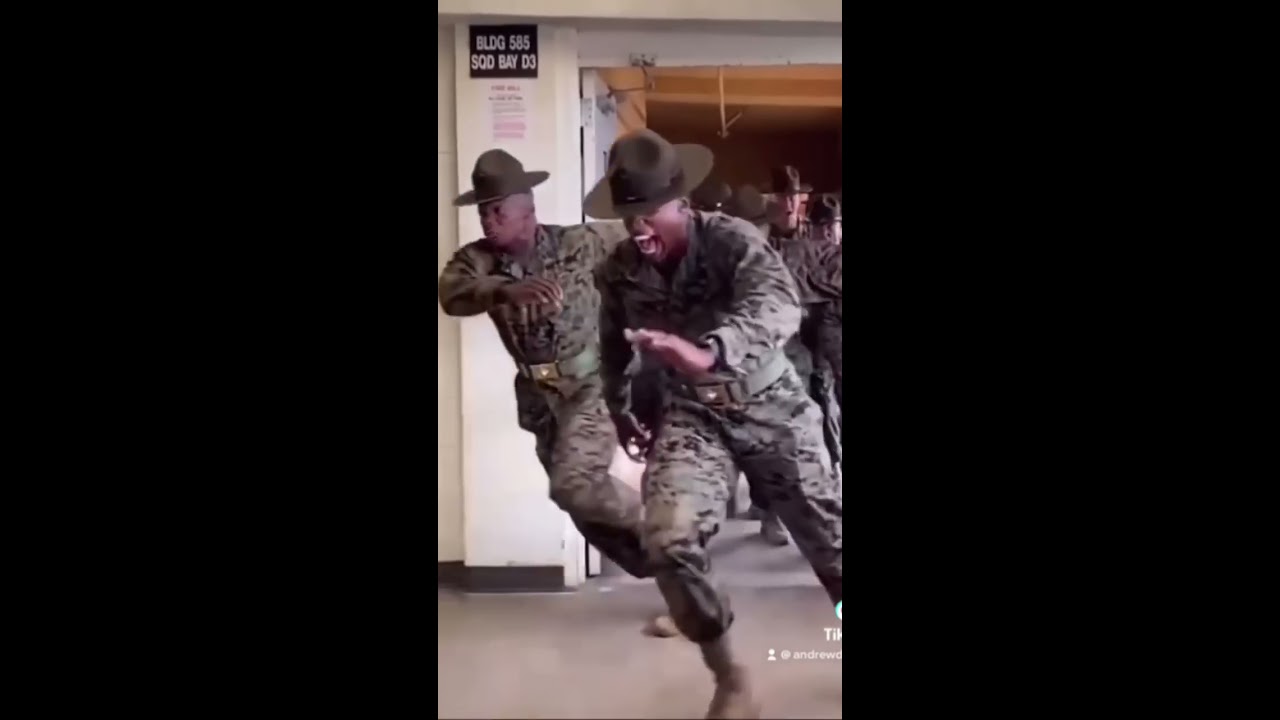USMC Drill Instructors Unleashed 