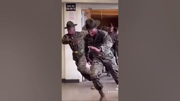 USMC Drill Instructors Unleashed 😳💀🇺🇸 - DayDayNews