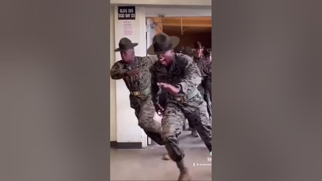 USMC Drill Instructors Unleashed 😳💀🇺🇸