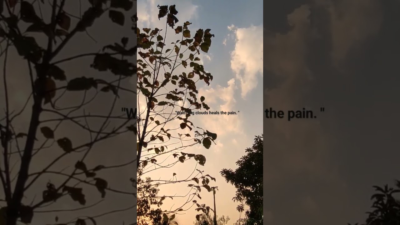 timelapse editing☺