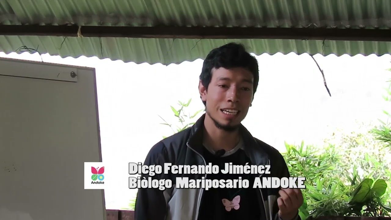 Modulo 1 Zoocriaderos de Mariposas Diurnas