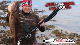 Chasse sous-marine en Norvège en HD