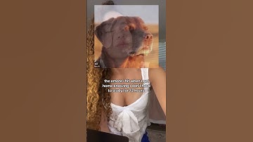 all bc i started using studyfetch 😭😭 #studyfetch #studytok #highschool #adventure