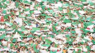 Allez les verts 0001